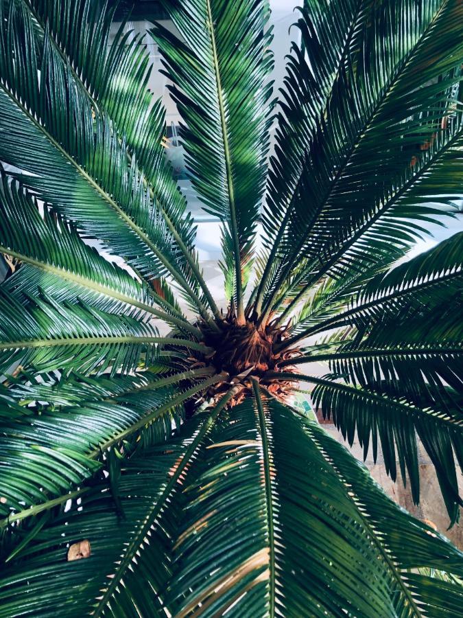 Les Grands Jardins Сasa de vacaciones *